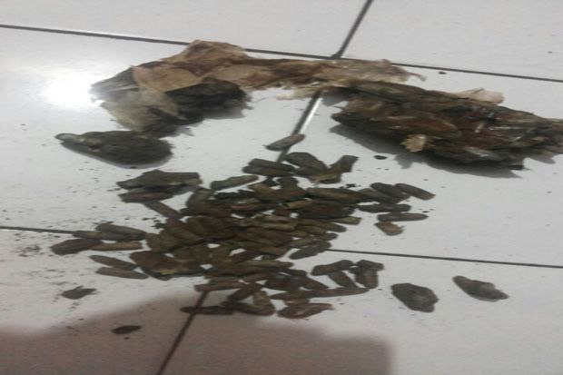Buruh Bangunan Temukan...