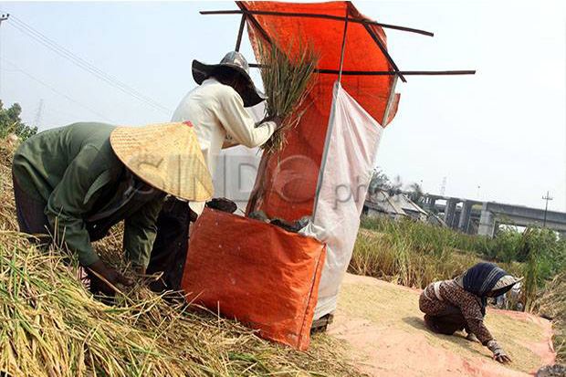 Juli, Harga Gabah di...