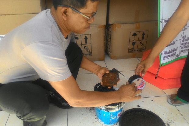 Mencangkul di Halaman...