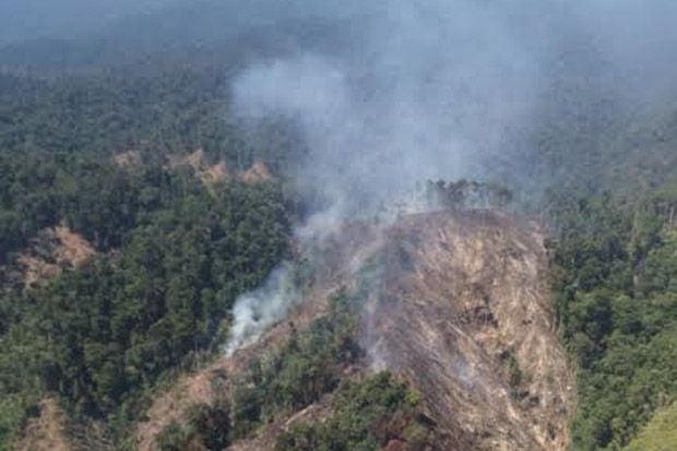 Bukit Barisan Dibakar,...