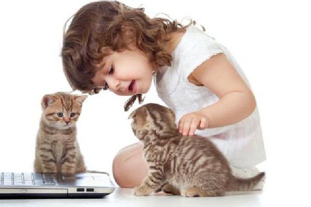 Anak yang Pelihara Kucing...