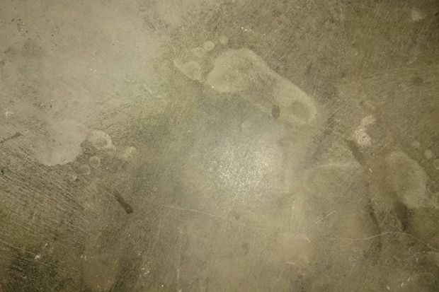 Misteri Enam Tapak Kaki...