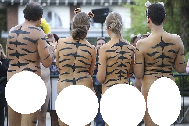 Demi Harimau, Ratusan...
