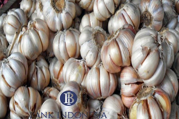 Bank Indonesia Kembangkan...