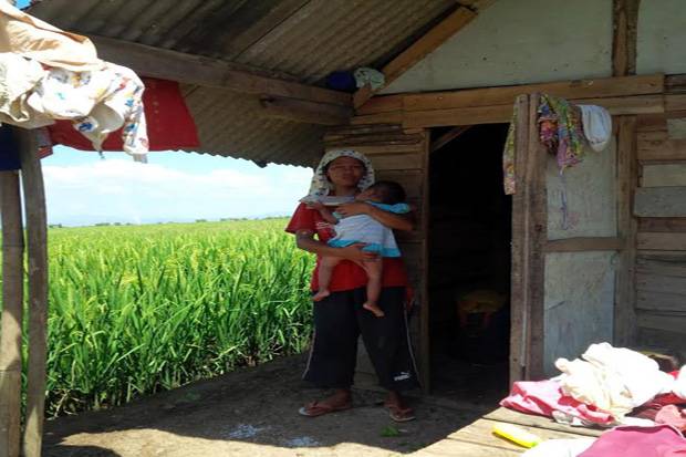 Balita Pemakan Ular...