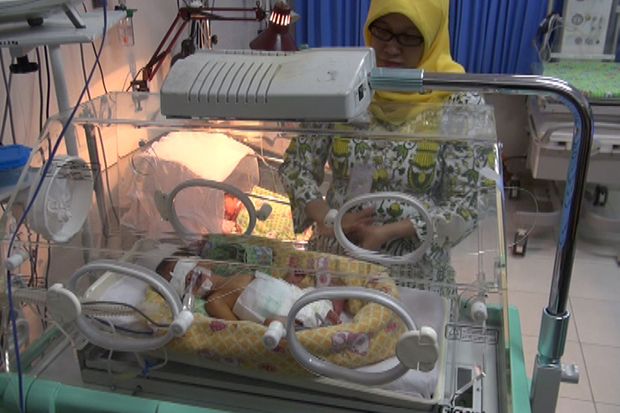 Warga Jombang Lahirkan...