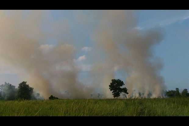 Pesawat Bom Air Dikerahkan...