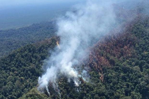 Hutan Lindung Bukit...