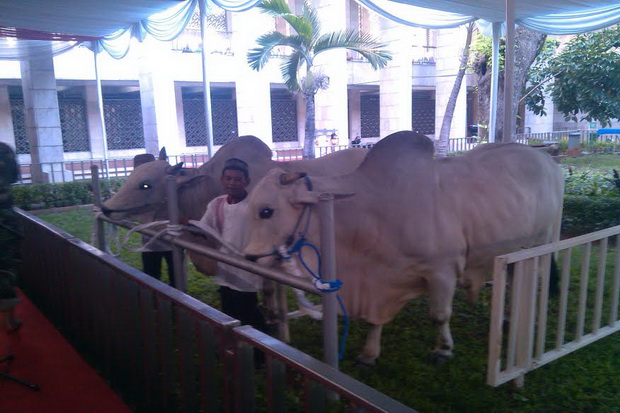 Berat 1,5 ton, Ini Penampakan...