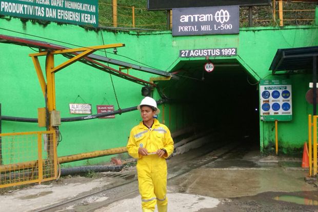 Mengintip Tambang Emas...