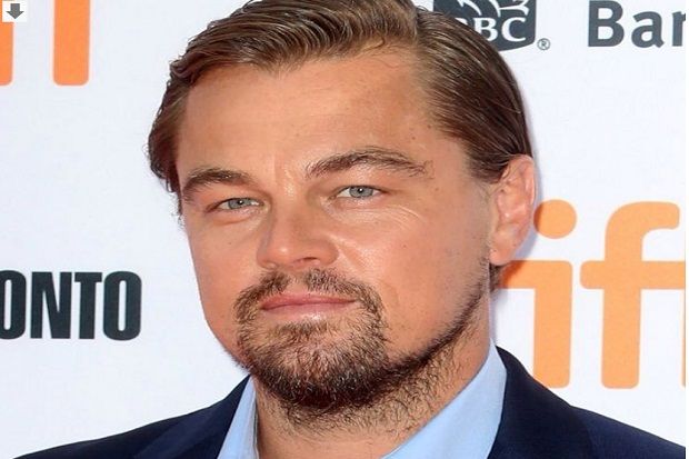 Leonardo DiCaprio Jual...