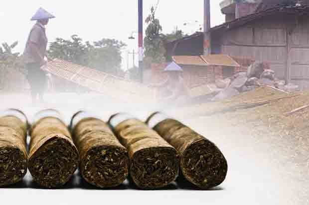 Harga Turun Drastis,...