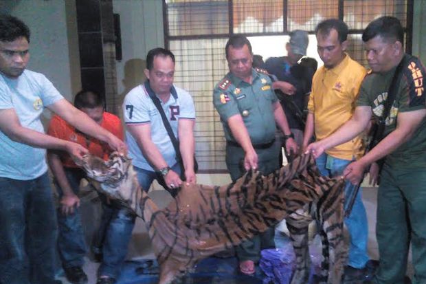 Perdagangan Organ Harimau...