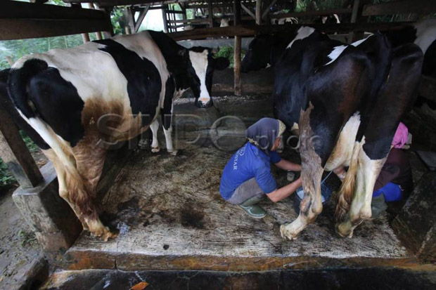 Tingkatkan Penghasilan,...