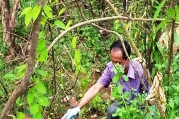 Pamit Cari Rumput, Wawan...