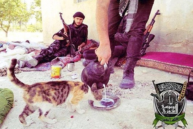 Fatwa ISIS: Kucing Dilarang...