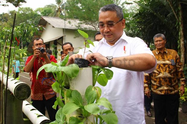 Pemerintah Gelar Expo...