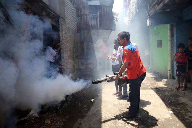 Antisipasi Demam Berdarah,...