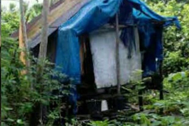 Hutan Tempat Nur Tarzan,...