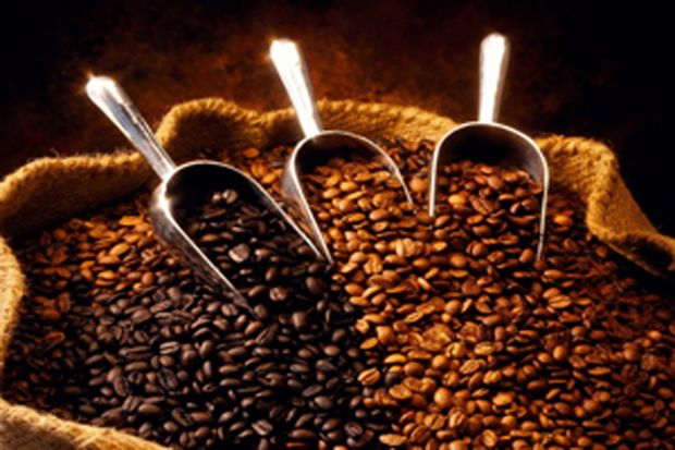 Kopi Nusantara Sumbang...