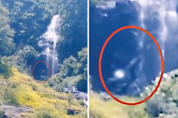 Rekaman Video Bigfoot...