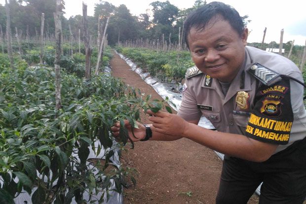Bripka Suyono, Sukses...