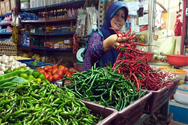 Harga Cabai di Sagulung...
