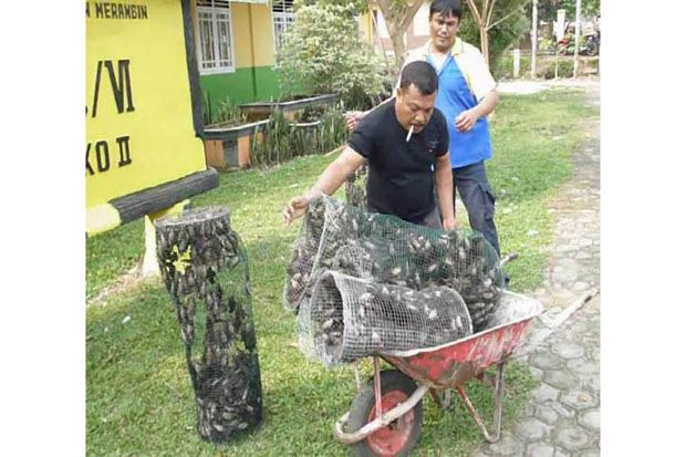 Gedung Sekolah Dikuasai...