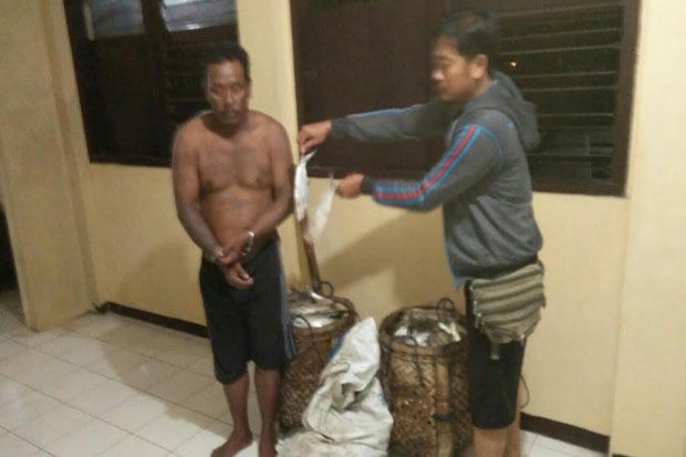 Maling Bandeng di Tambak,...