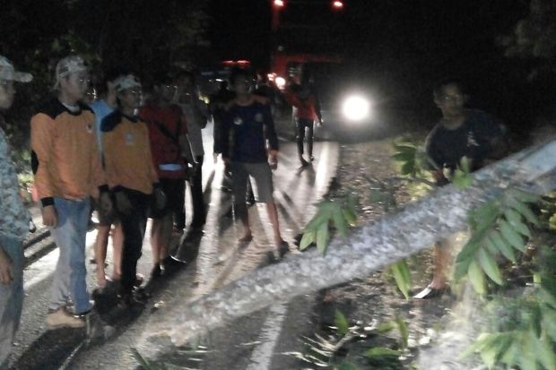 Pohon Tumbang, Arus...