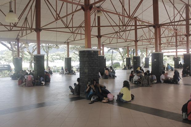 Lapangan Kerja Semakin...