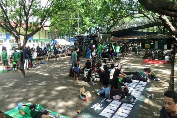 Ribuan Bonek Hijaukan...