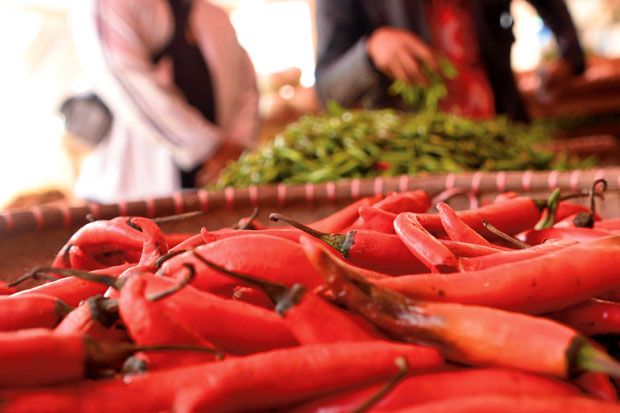 Harga Cabai di Luar...