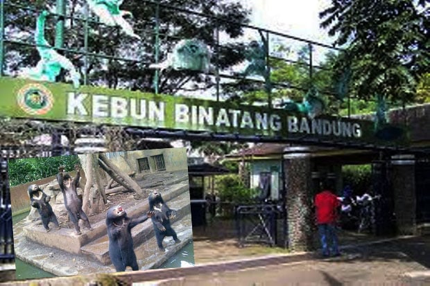 Bandung Zoo Poor Management,...