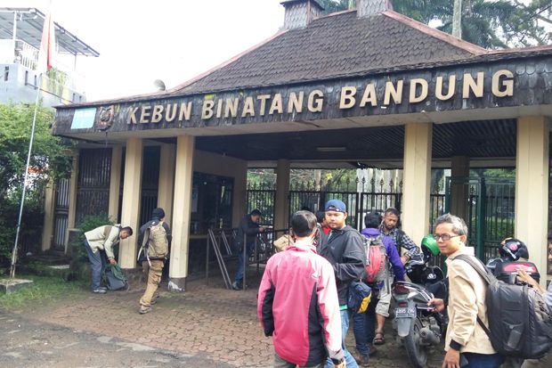 Kardit Beruang Kelaparan...