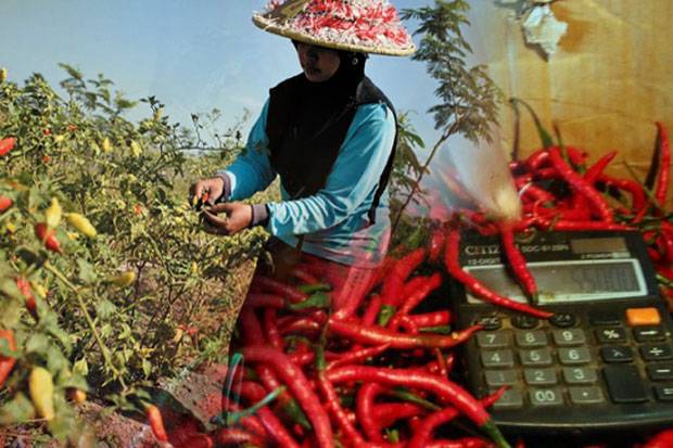 Kendalikan Harga Cabai,...