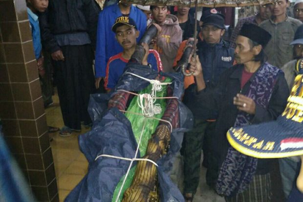 Jatuh ke Jurang Gunung...
