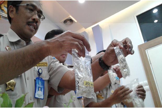 Ribuan Gigi Ikan Hiu...