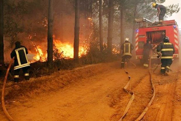 Bencana Kebakaran Hutan...
