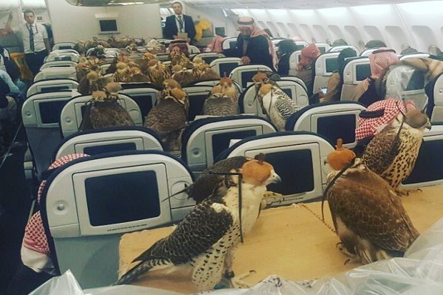 Heboh, Pangeran Saudi...