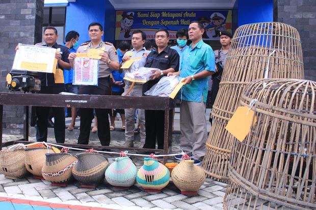 Judi Sabung Ayam di...