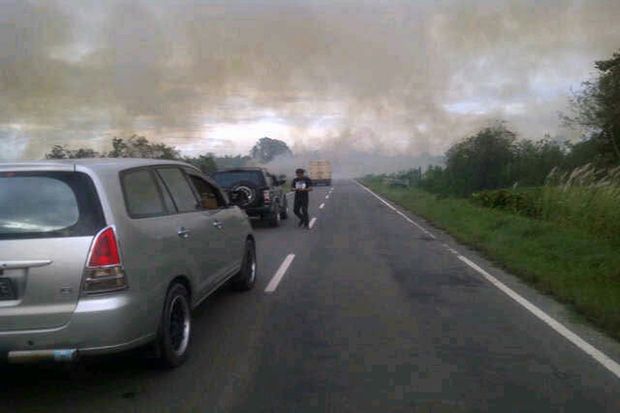 Taman Nasional Rawaopa...