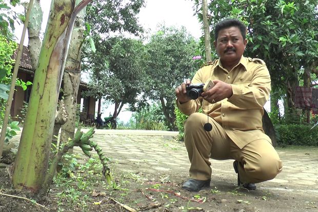Buah dan Jantung Pisang...