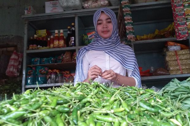 Harga Cabai Setan Tembus...