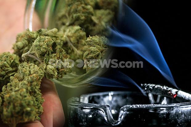 Bawa Ganja 8 Kg, Tri...