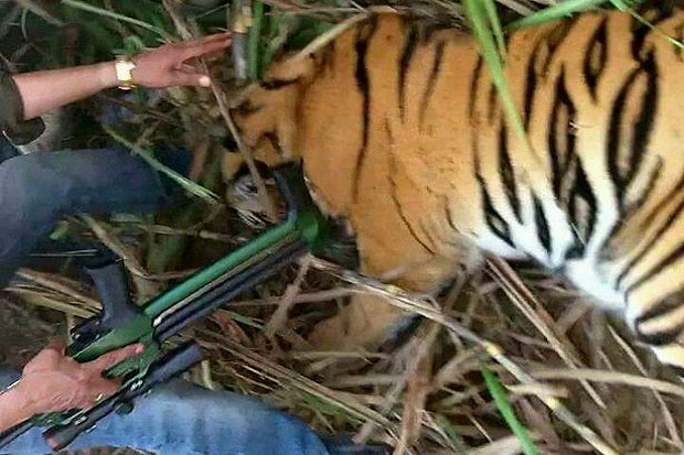 Bunuh 6 Warga India,...