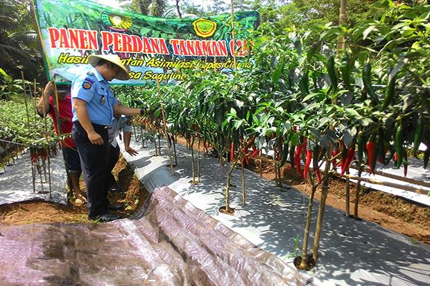 Warga Binaan Lapas Ciamis...