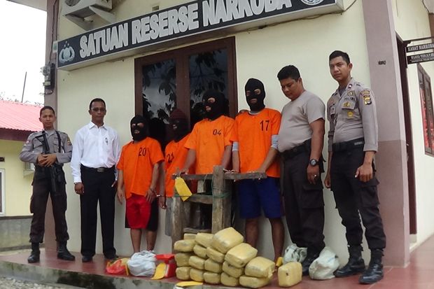 Sindikat Pengedar Ganja...