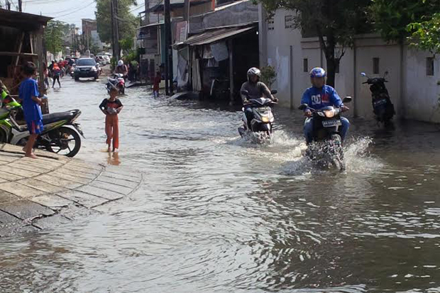 Rawa Buaya Masih Direndam...