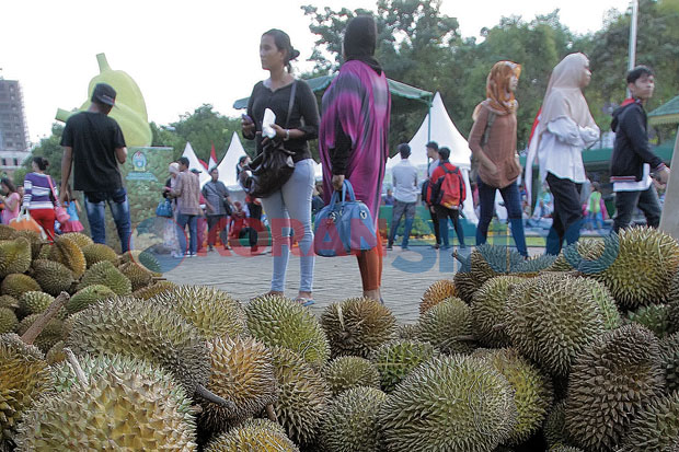 Semarang Sertifikasi...